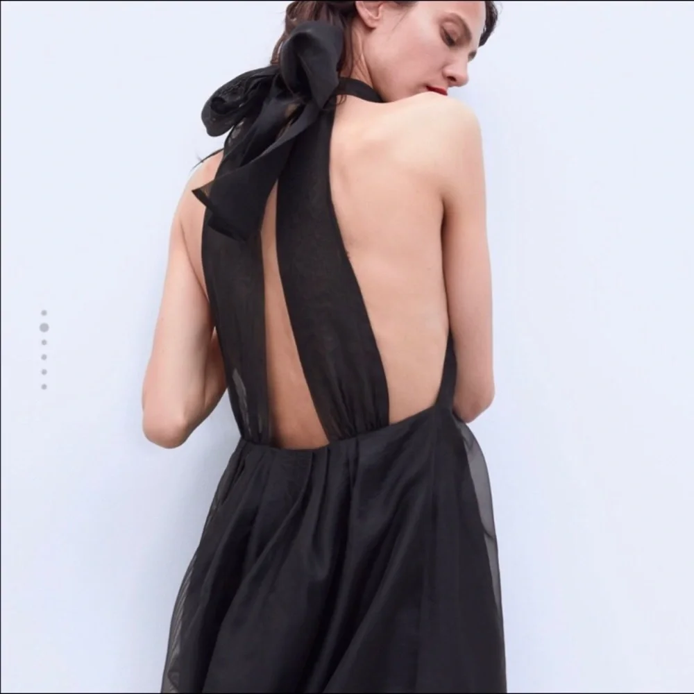 Zara Black Organza Dress - Picture 3 of 8